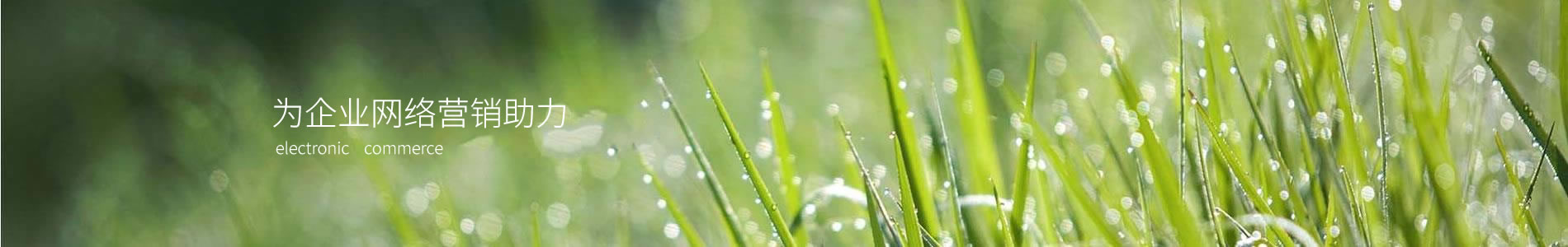 ʯ½޹˾